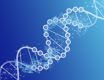 bevictorΰ�¹��� - Τ�¹ٷ���վ