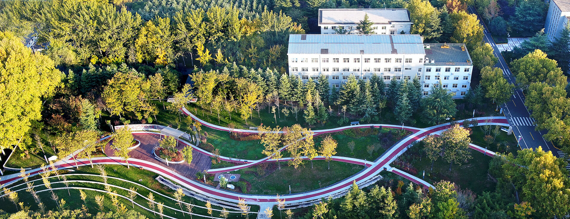 ����ΰ�¹���