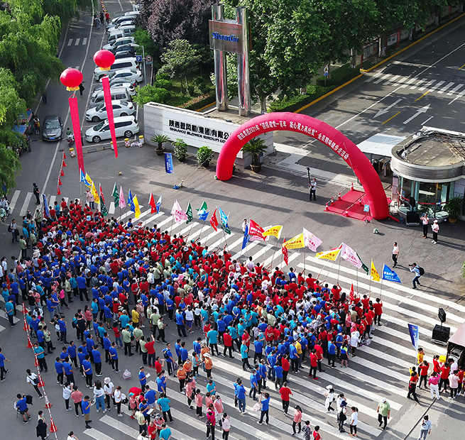 �˲����������